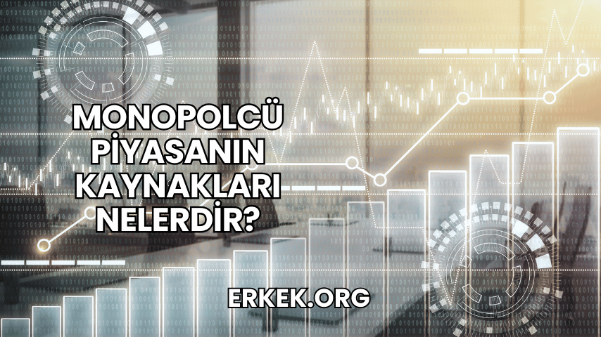 Monopolcü Piyasanın Kaynakları Nelerdir?