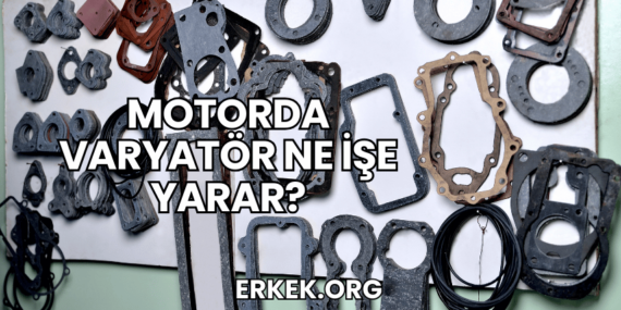 Motorda Varyatör Ne İşe Yarar?