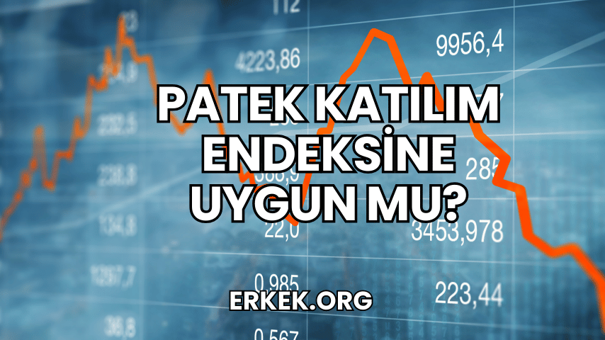 Patek Katılım Endeksine Uygun mu?