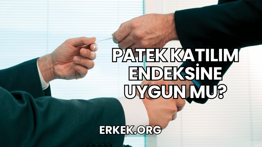 Patek Katılım Endeksine Uygun mu?