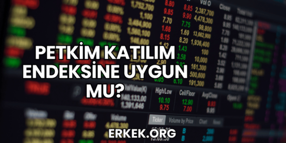 Petkim Katılım Endeksine Uygun mu?