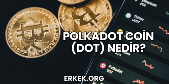 Polkadot Coin (DOT) Nedir?