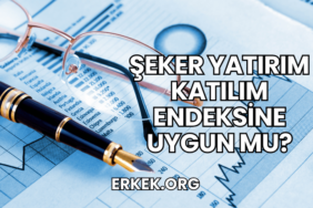 Şeker Yatırım Katılım Endeksine Uygun mu?