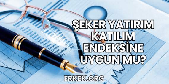 Şeker Yatırım Katılım Endeksine Uygun mu?