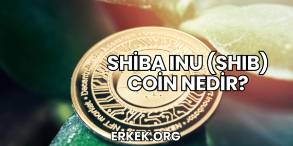Shiba Inu (SHIB) Coin Nedir?