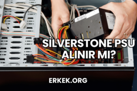 Silverstone PSU Alınır mı?