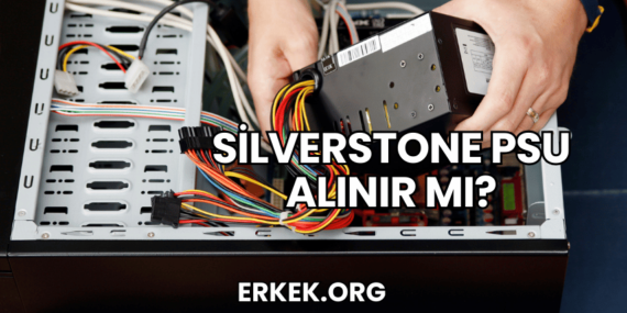Silverstone PSU Alınır mı?
