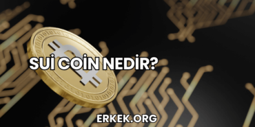 Sui Coin Nedir?