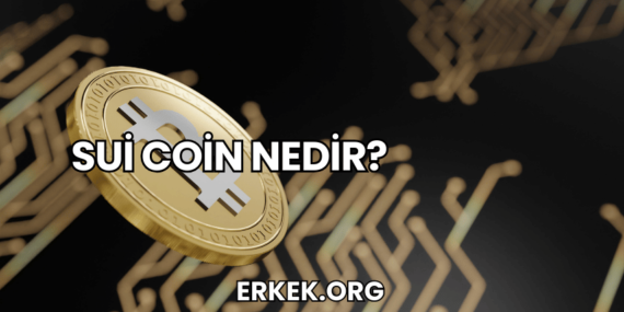 Sui Coin Nedir?