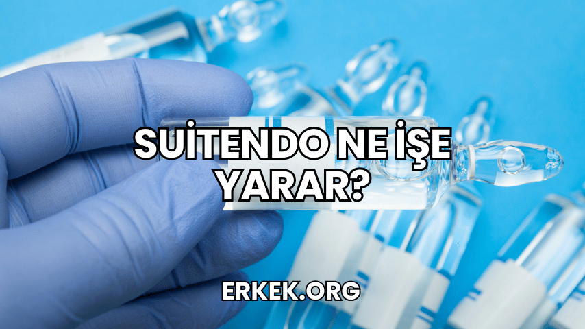 Suitendo Ne İşe Yarar?