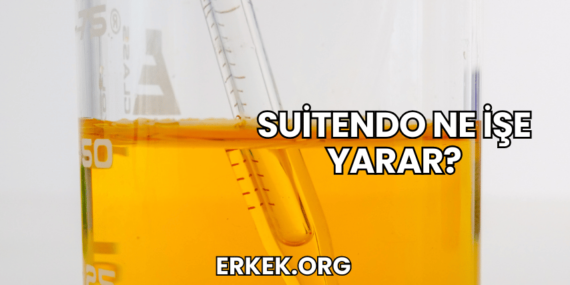 Suitendo Ne İşe Yarar?