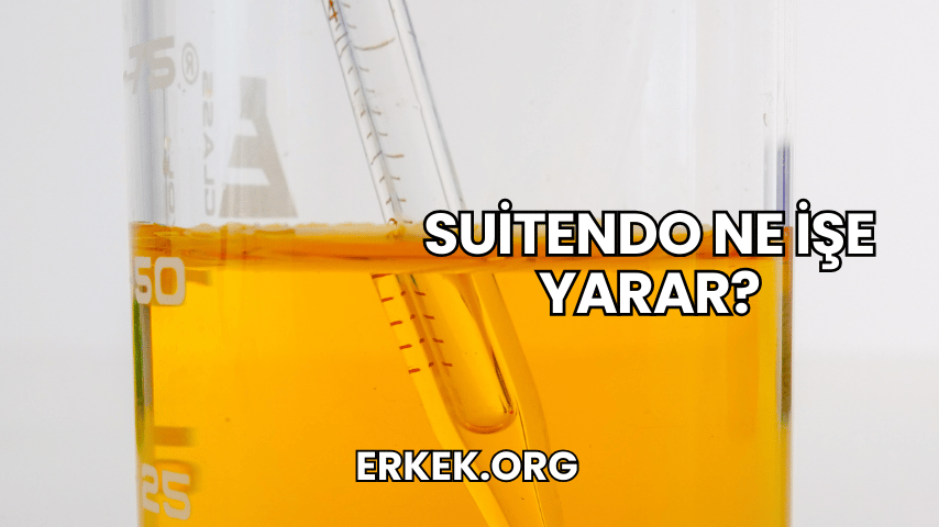 Suitendo Ne İşe Yarar?