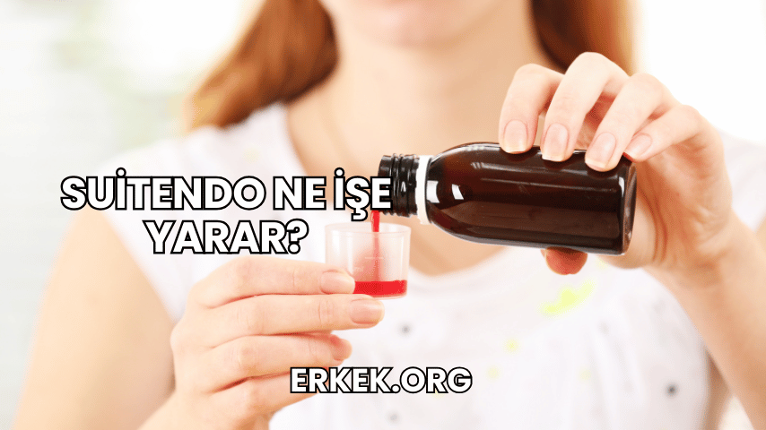 Suitendo Ne İşe Yarar?