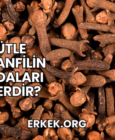 Sütle Karanfilin Faydaları Nelerdir?