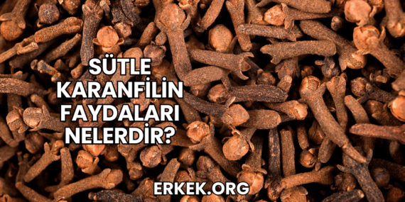 Sütle Karanfilin Faydaları Nelerdir?