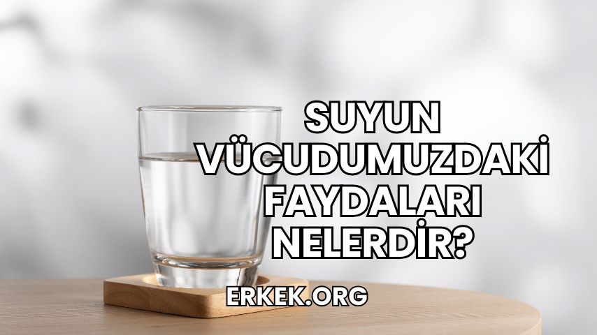 Suyun Vücudumuzdaki Faydaları Nelerdir?