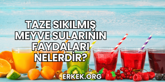 Taze Sıkılmış Meyve Sularının Faydaları Nelerdir?
