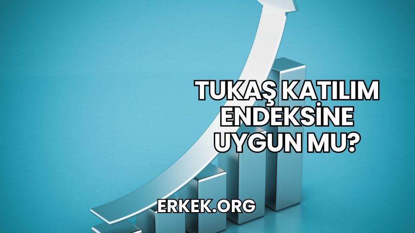 Tukaş Katılım Endeksine Uygun mu?
