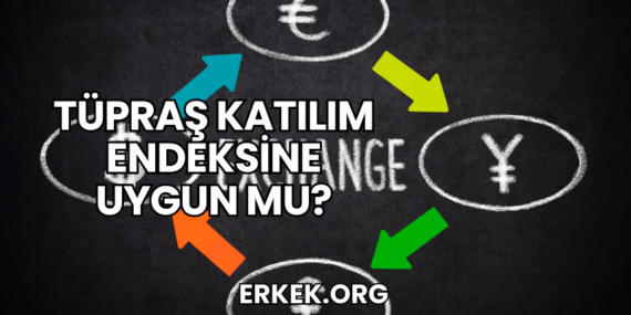 Tüpraş Katılım Endeksine Uygun mu?