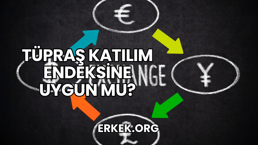 Tüpraş Katılım Endeksine Uygun mu?