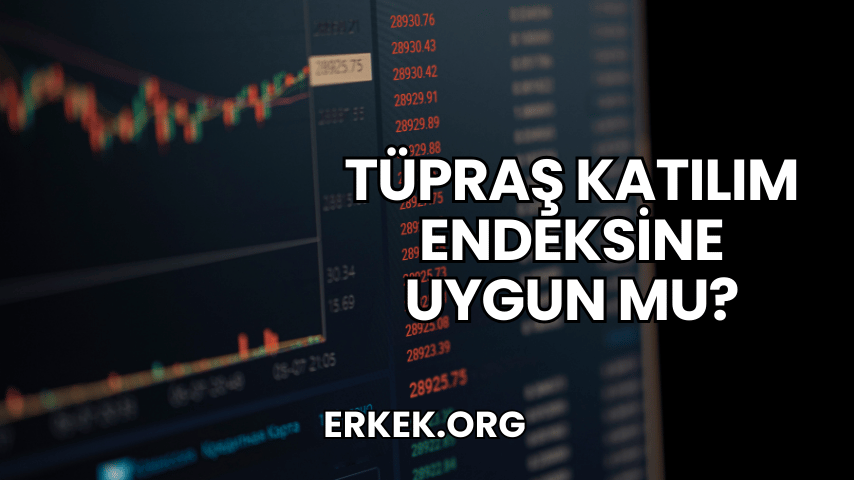 Tüpraş Katılım Endeksine Uygun mu?