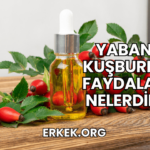 Yabani Kuşburnu Faydaları Nelerdir?