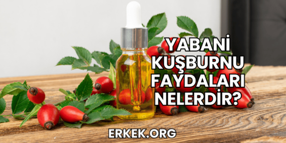 Yabani Kuşburnu Faydaları Nelerdir?