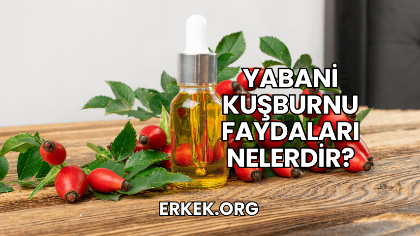 Yabani Kuşburnu Faydaları Nelerdir?