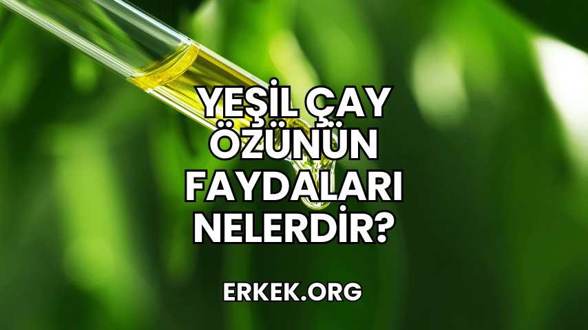 Yeşil Çay Özünün Faydaları Nelerdir?