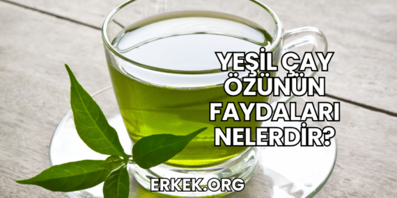 Yeşil Çay Özünün Faydaları Nelerdir?