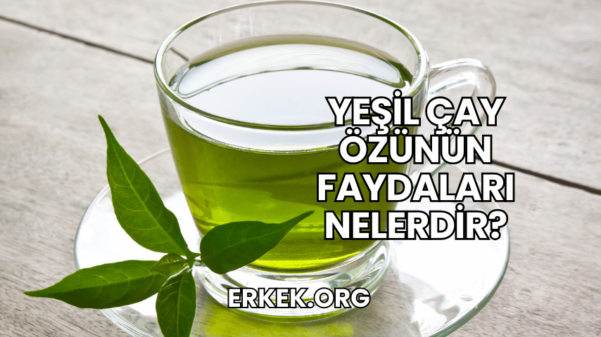 Yeşil Çay Özünün Faydaları Nelerdir?