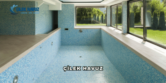 Çilek Havuz Hakkında Merak Edilenler